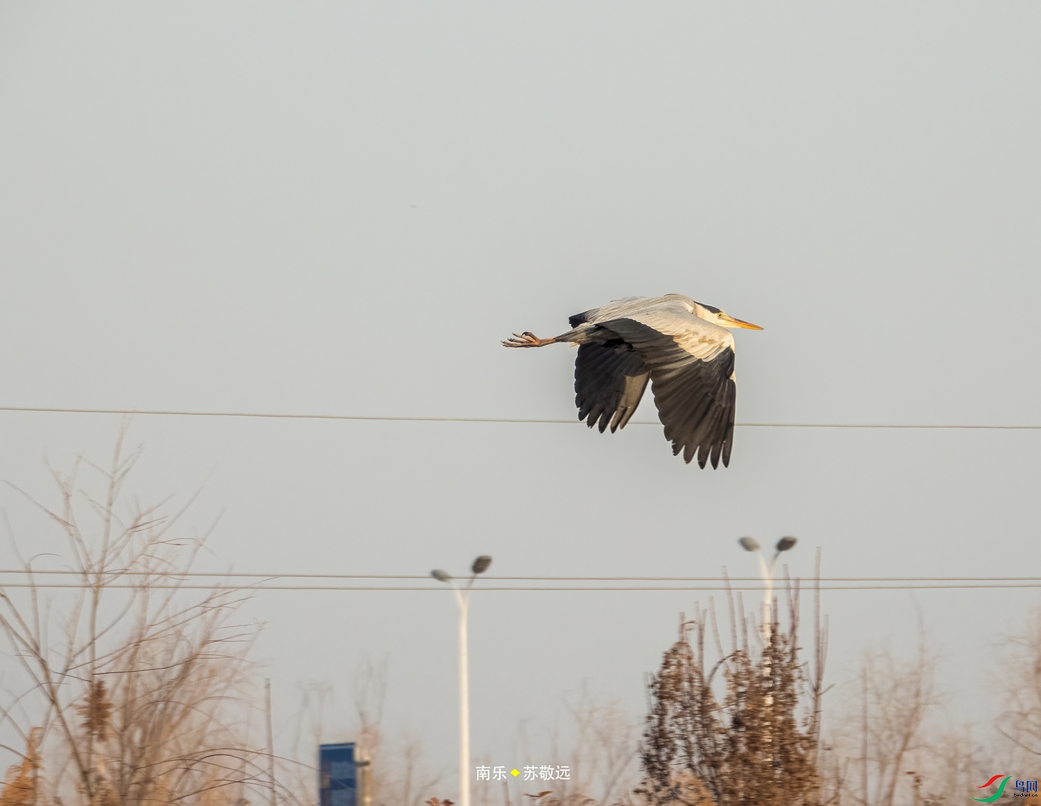 DSCN2869СС.jpg