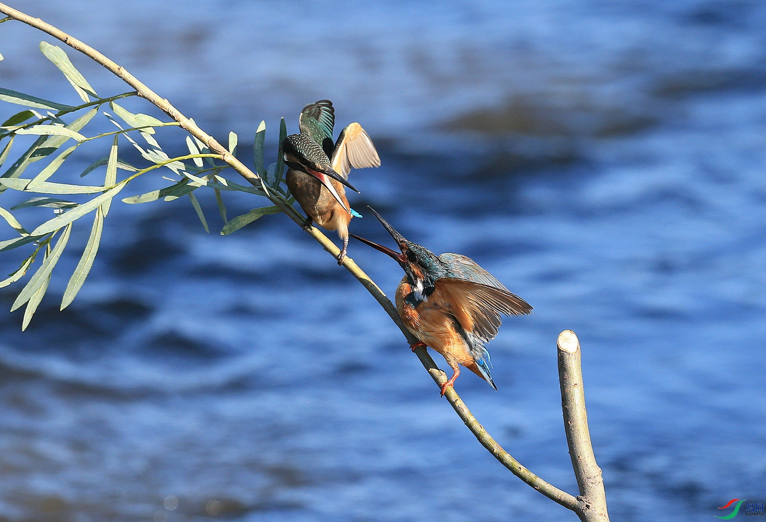 H -  226 �Ϻ�.jpg