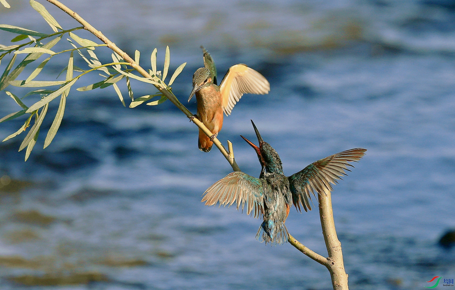 G - 104 =���� .jpg