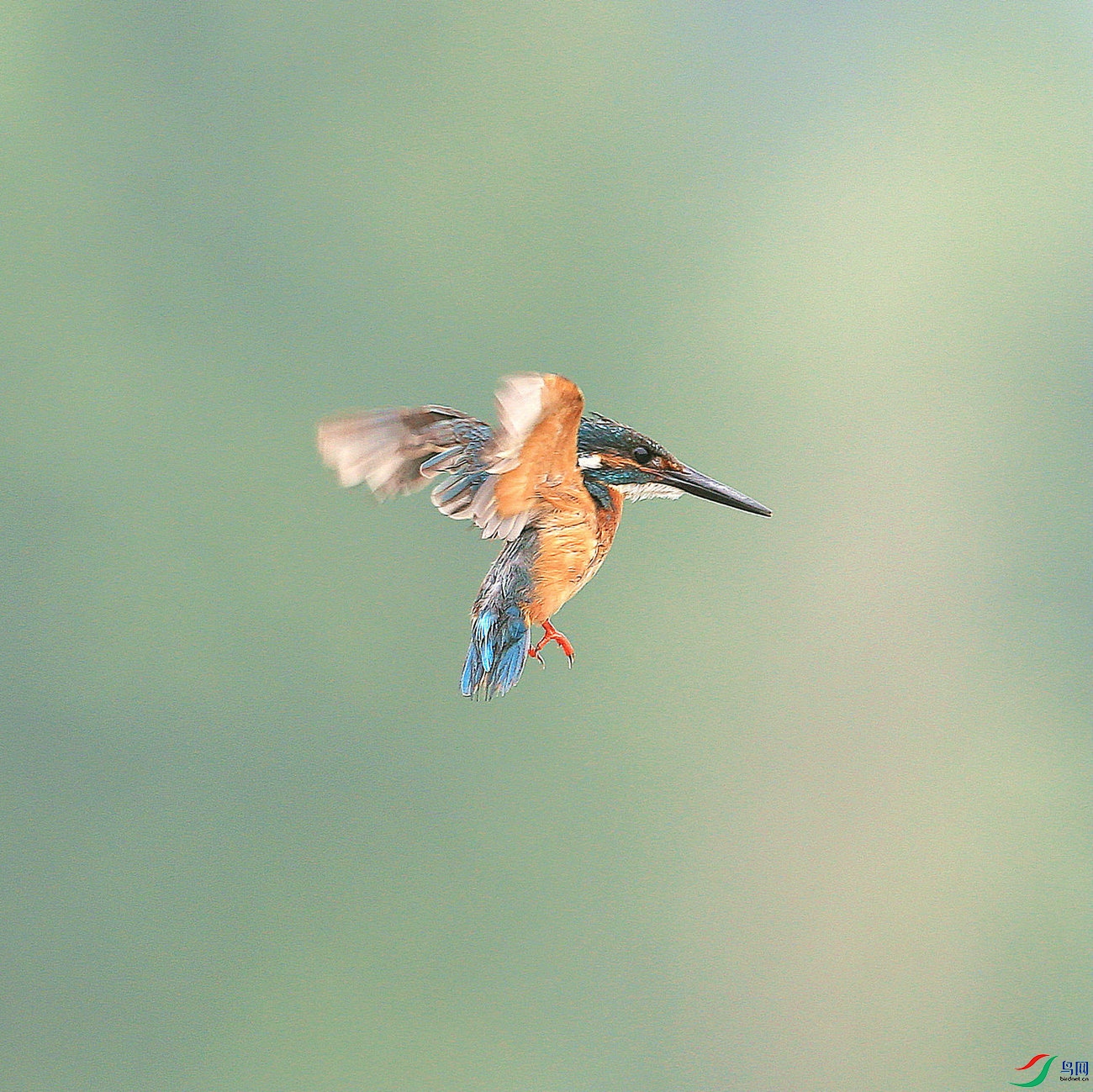 F -  С��7����.jpg