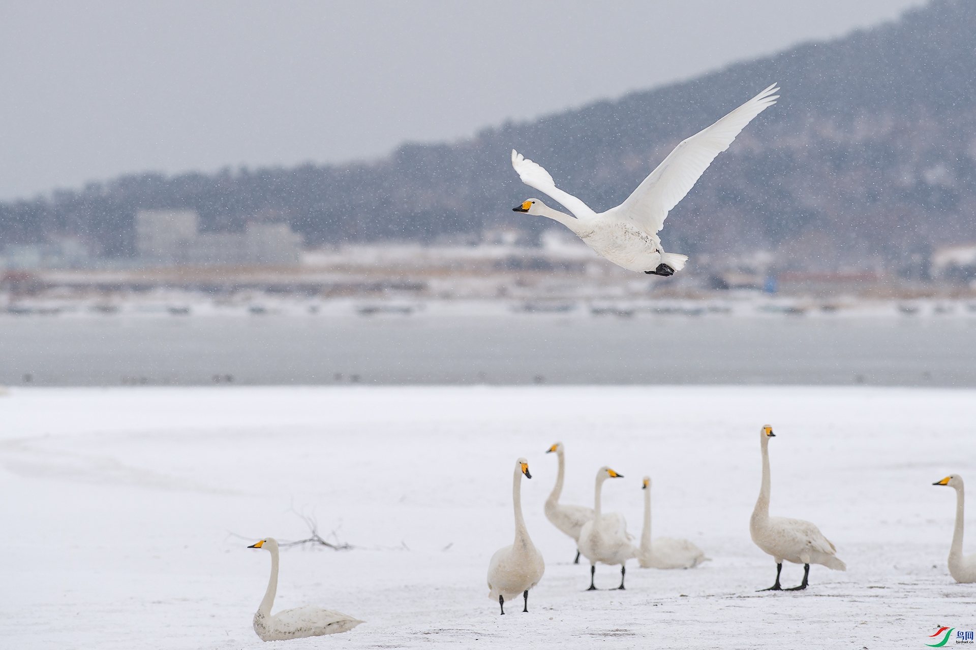_DSC8282С.jpg