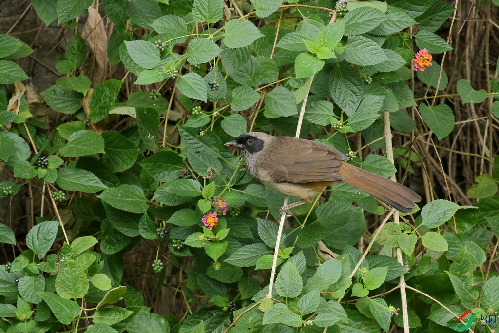 367A0556_����.jpg