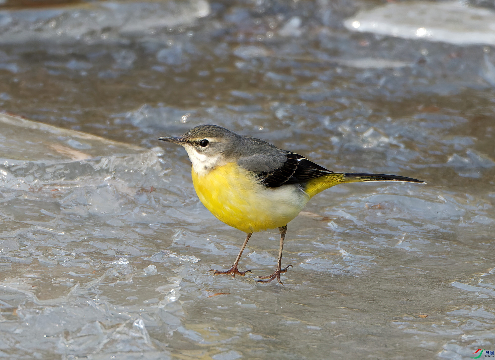 DSC_0302.jpg
