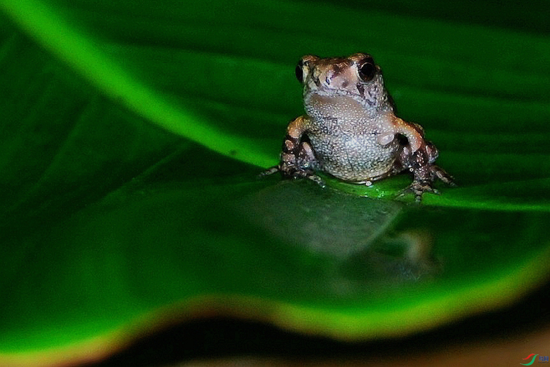 DSC_0545.JPG