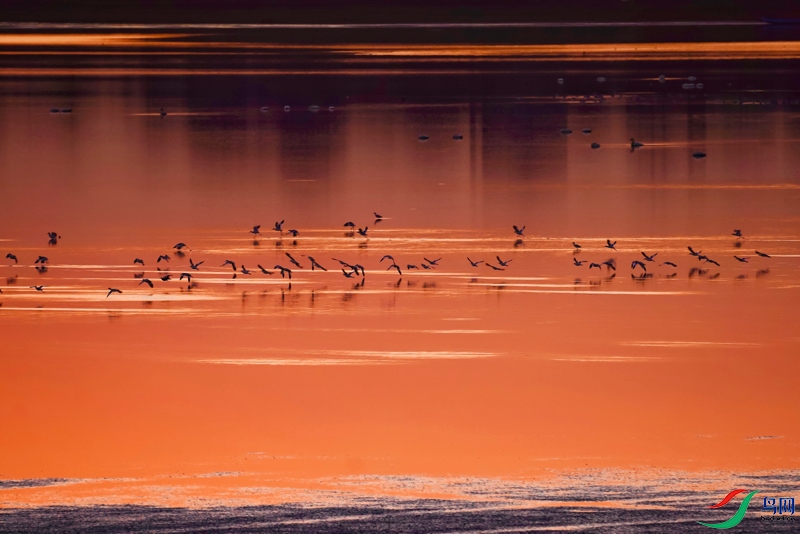 ������֪��·