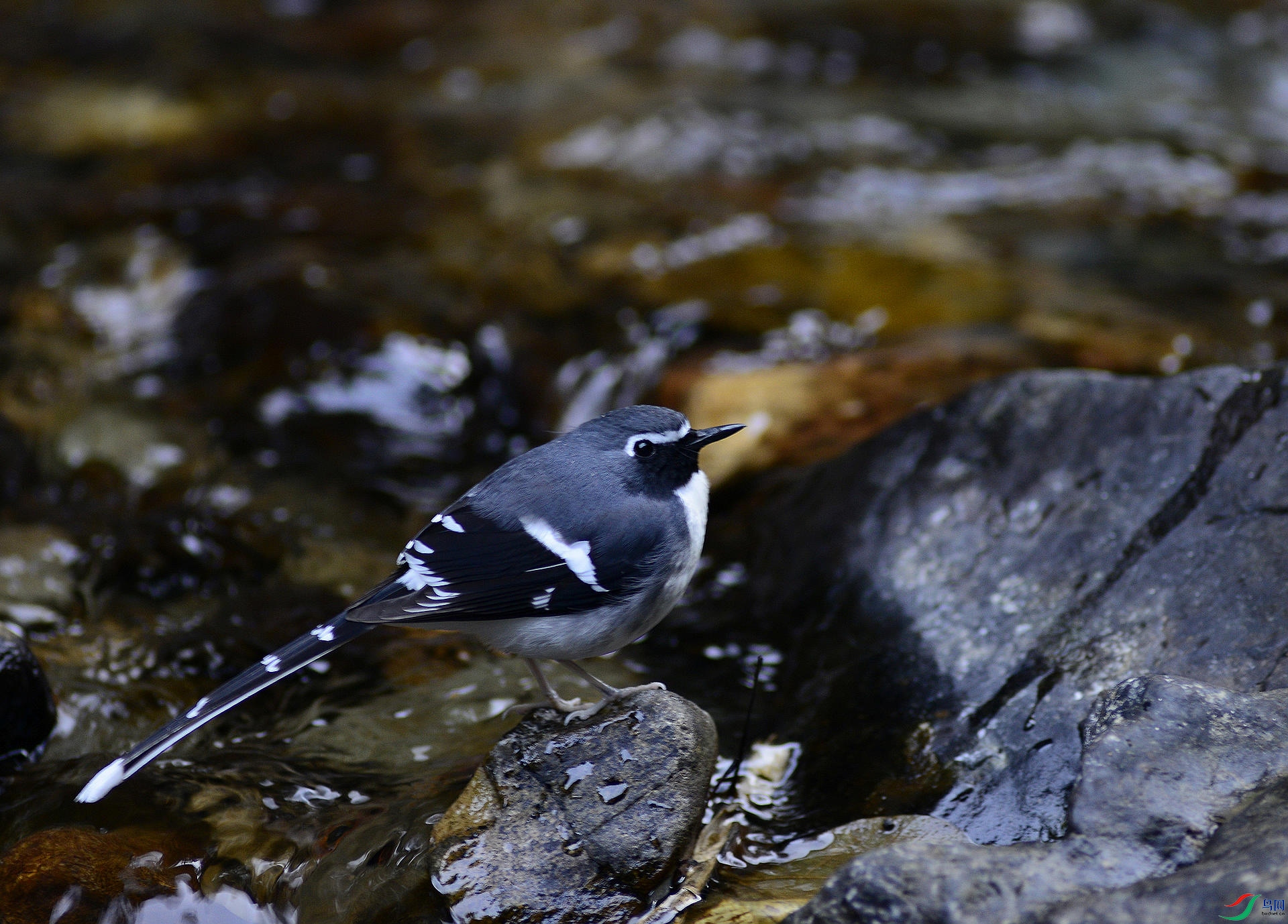 _D804152.jpg