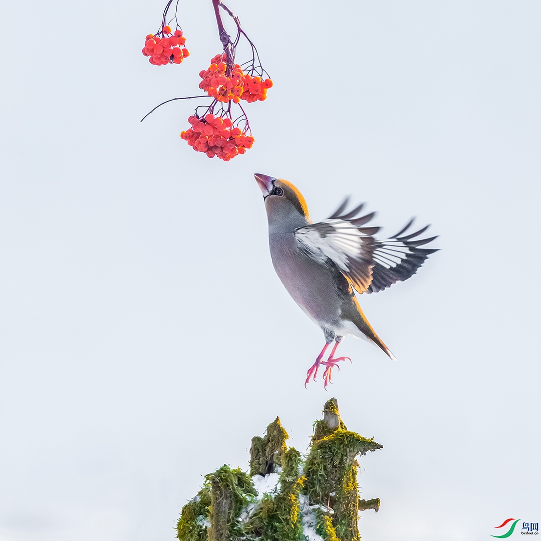 ����ȸ2-1080.jpg