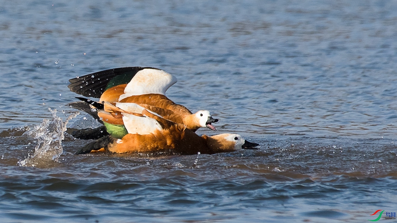 XC5_5728 - ����.jpg