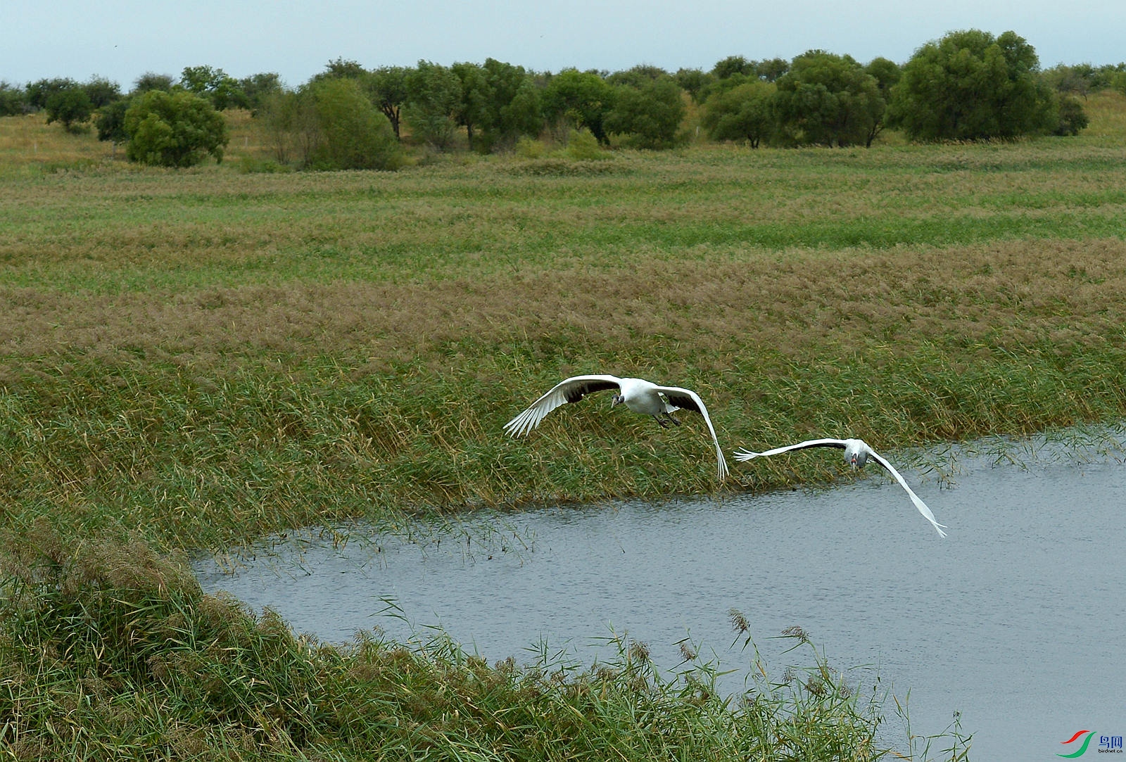 DSC_7408_����.jpg