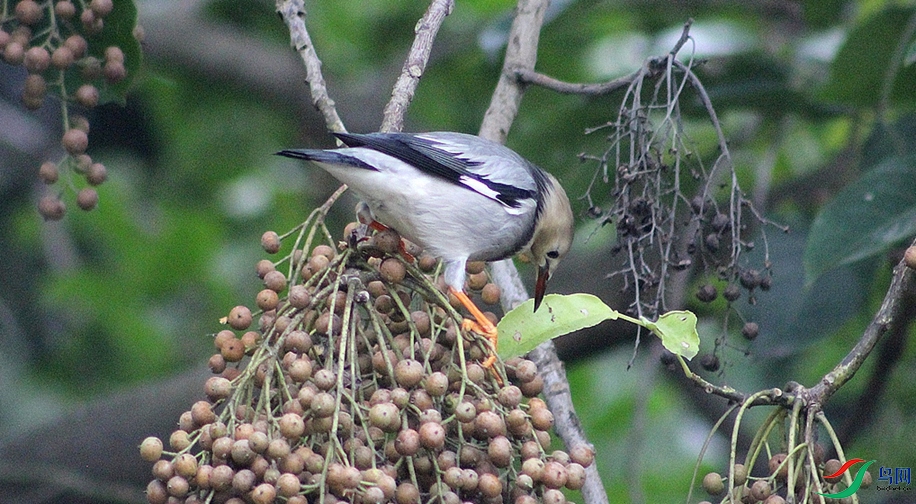 IMG_0007.jpg
