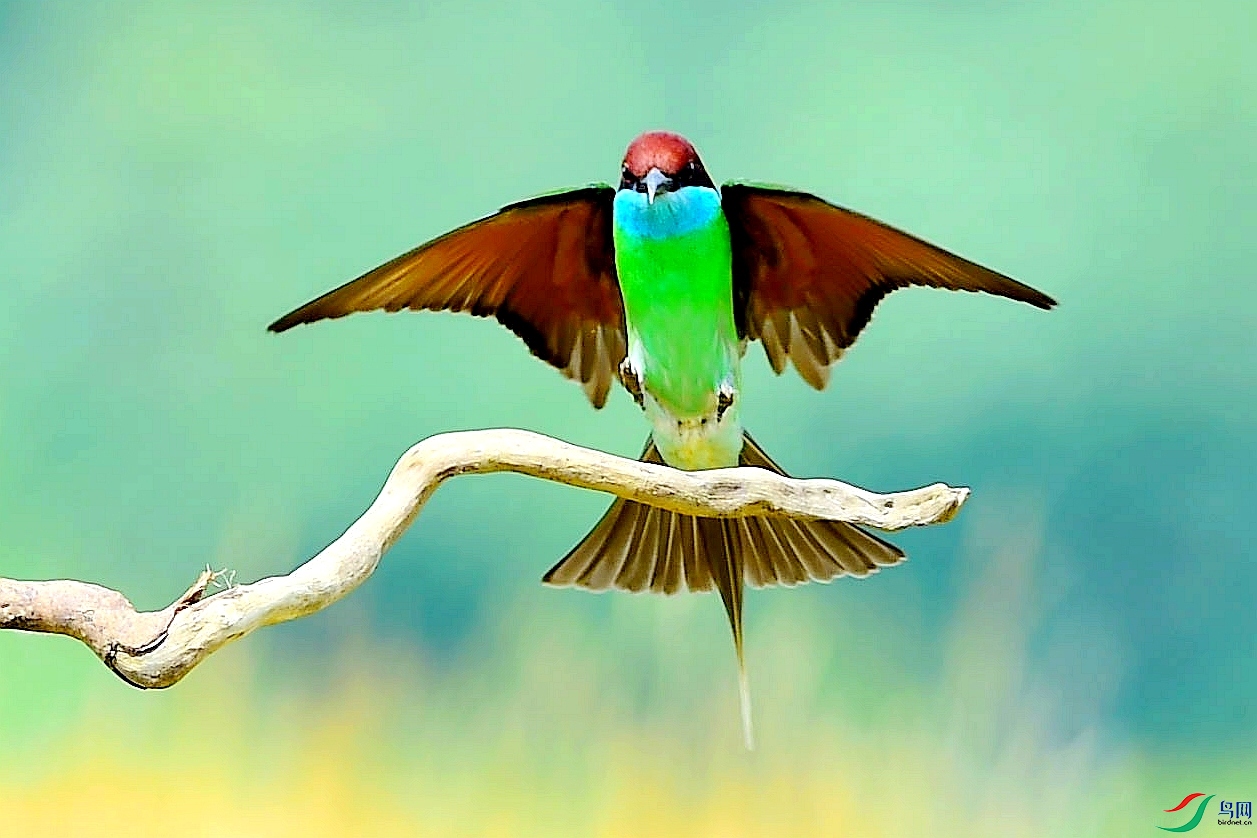 CFH_0238 (2)_副本.jpg