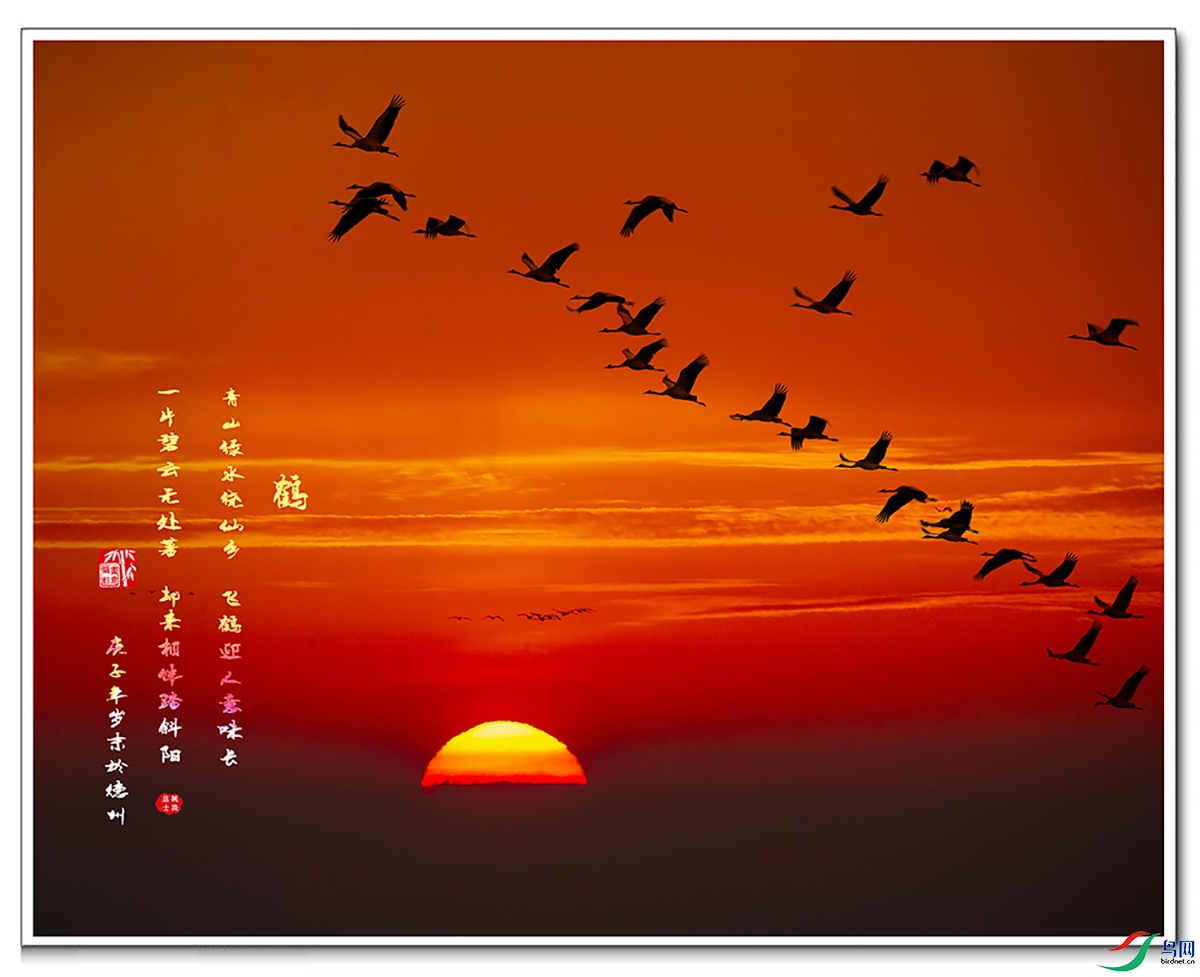 AV1I6018 ���� ���ס� 1.jpg