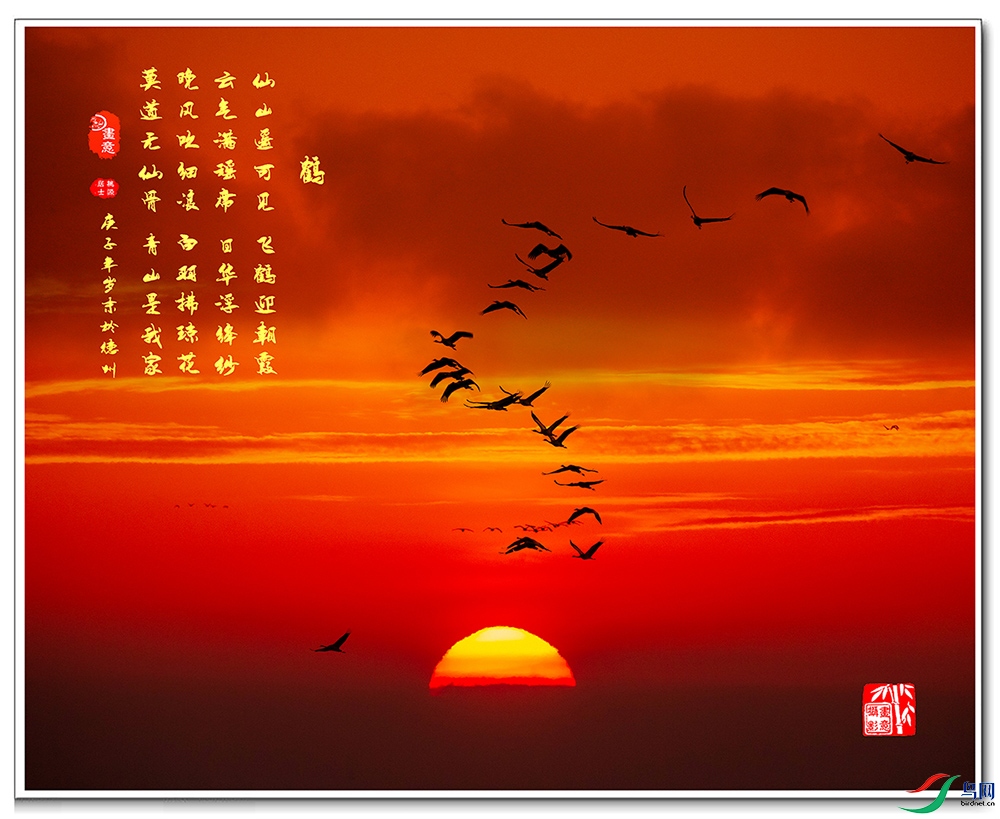 A84X4341 ���� ���ס� 2.jpg