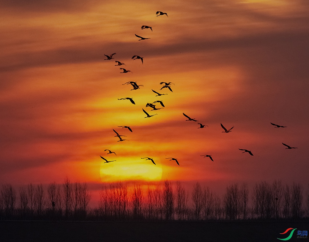 A84X4321 ���� 1.jpg