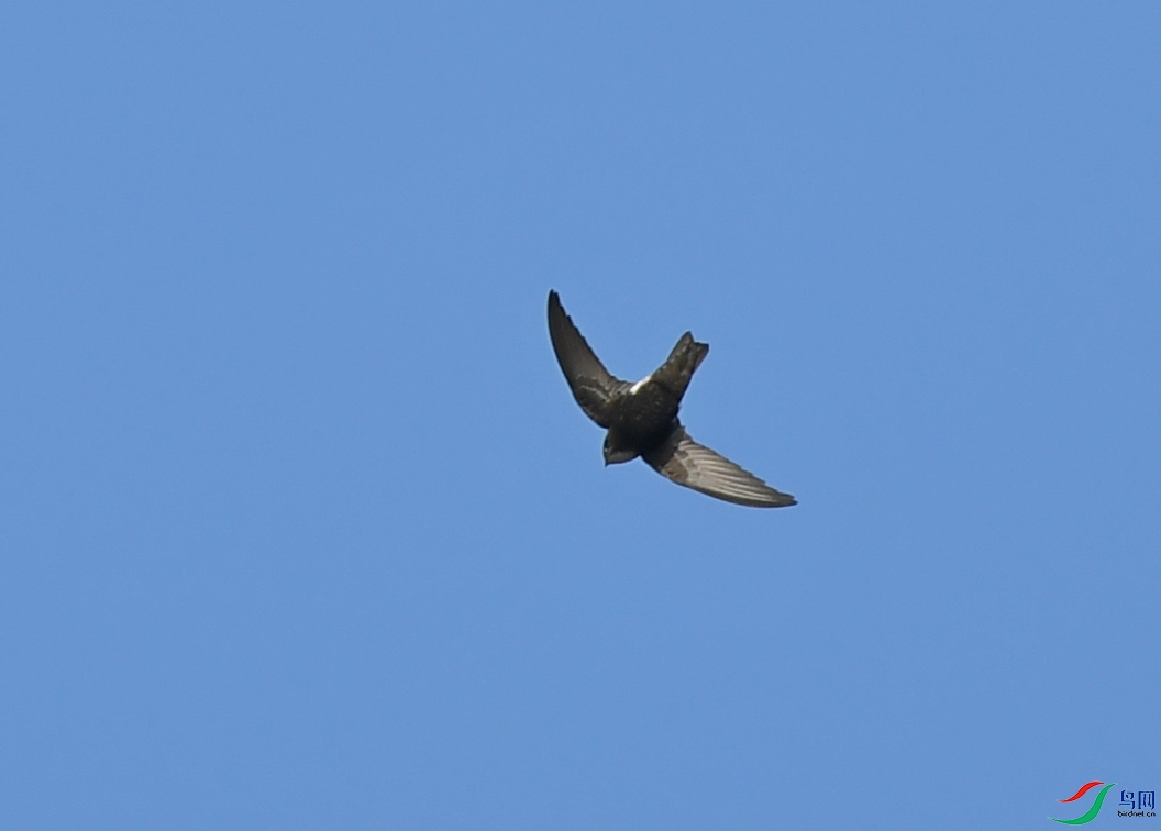 DSC_9938-2.jpg