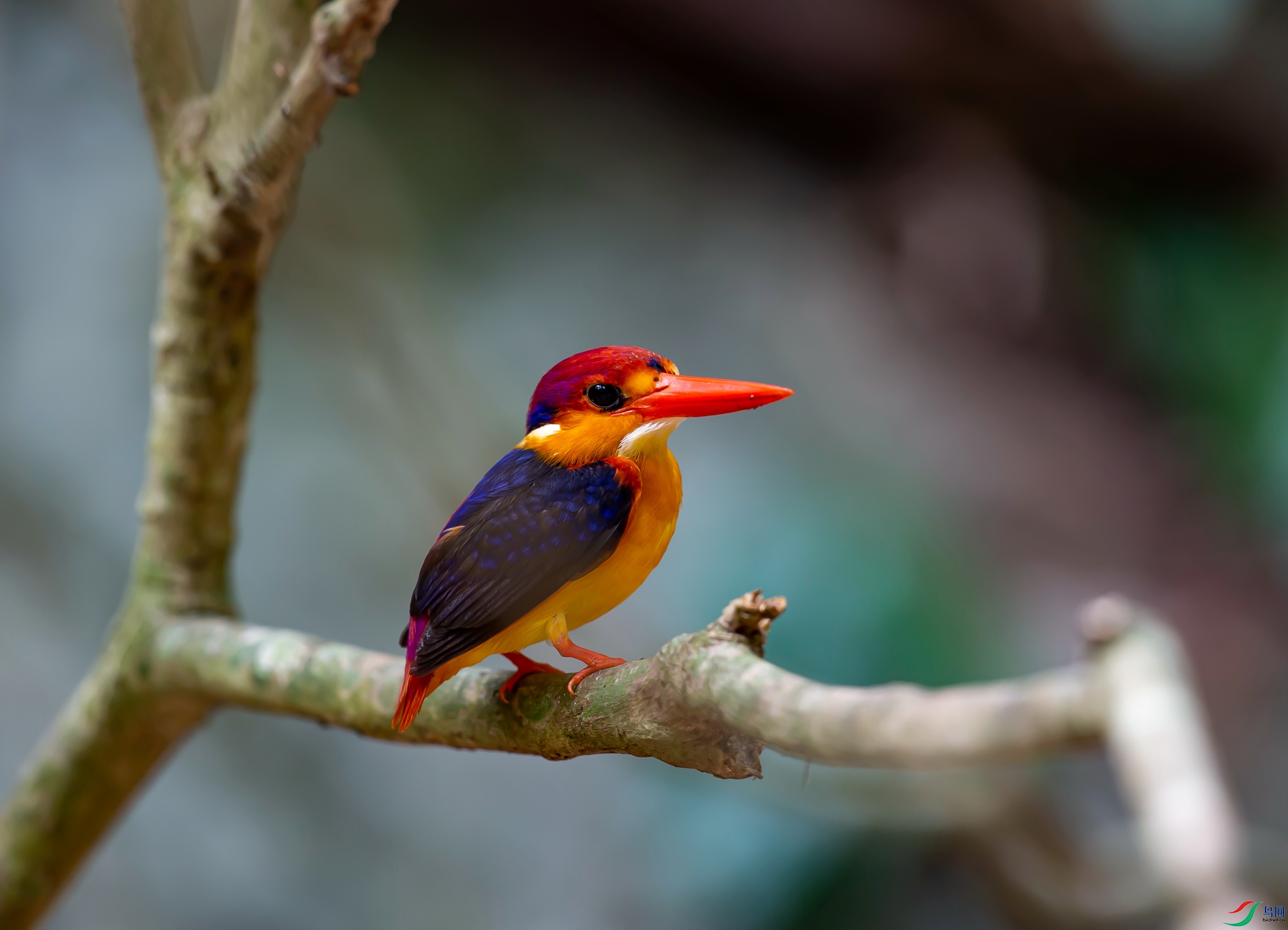 DSC_7390.jpg