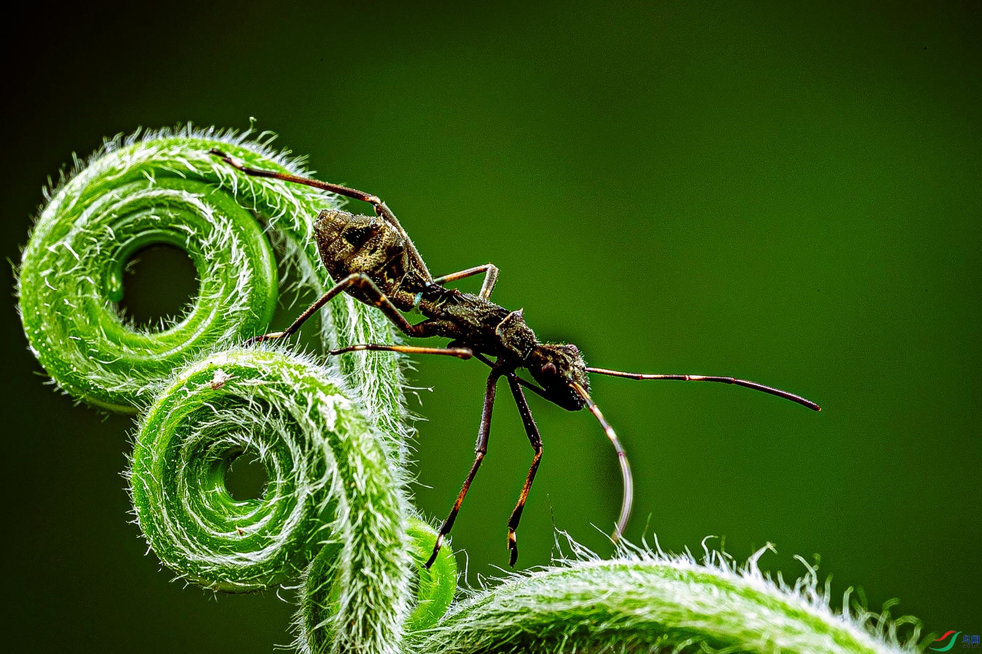 蝽贺获首页精华