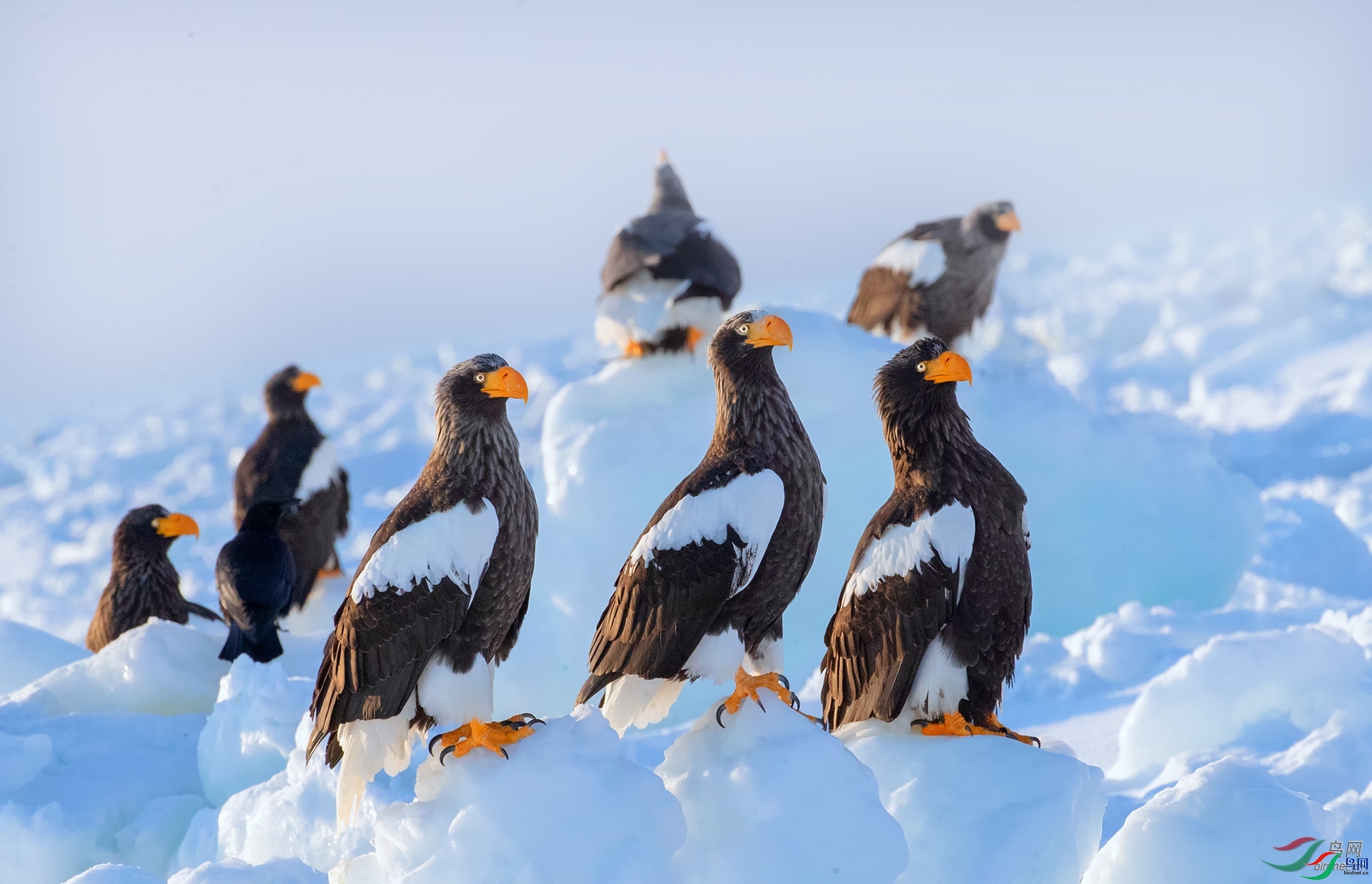 ���绽��  ��ʦ�����ڼ���ʡ�ӱ߳�����������������.jpg