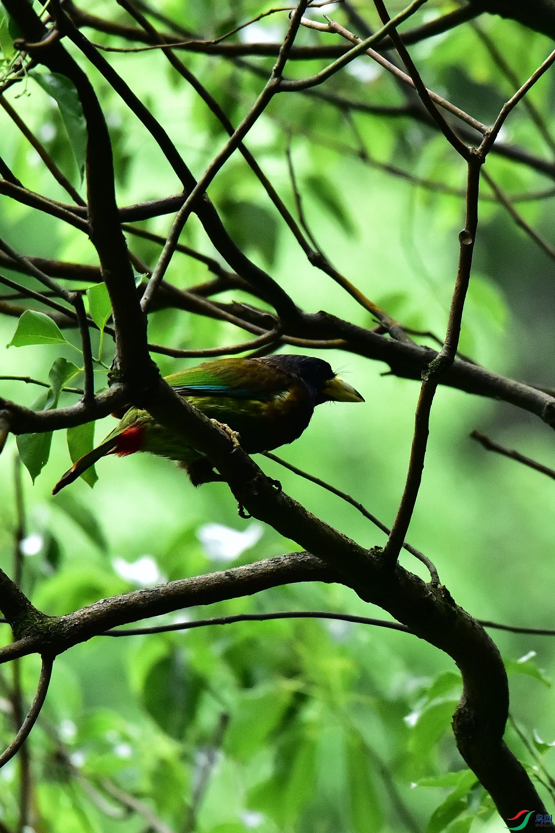 DSC_0645.JPG