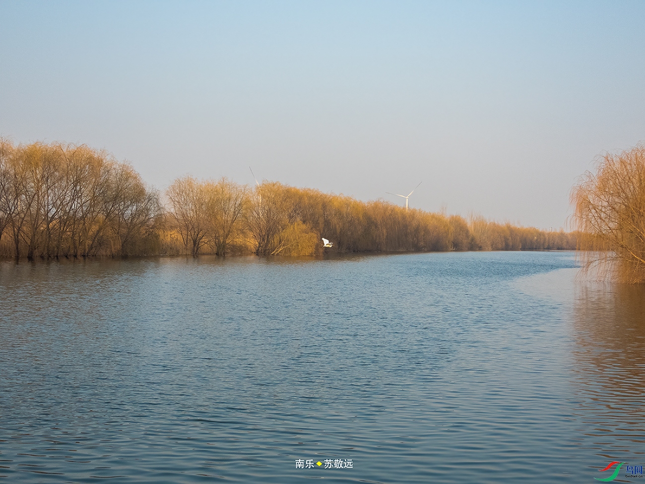 DSCN3138СС.jpg