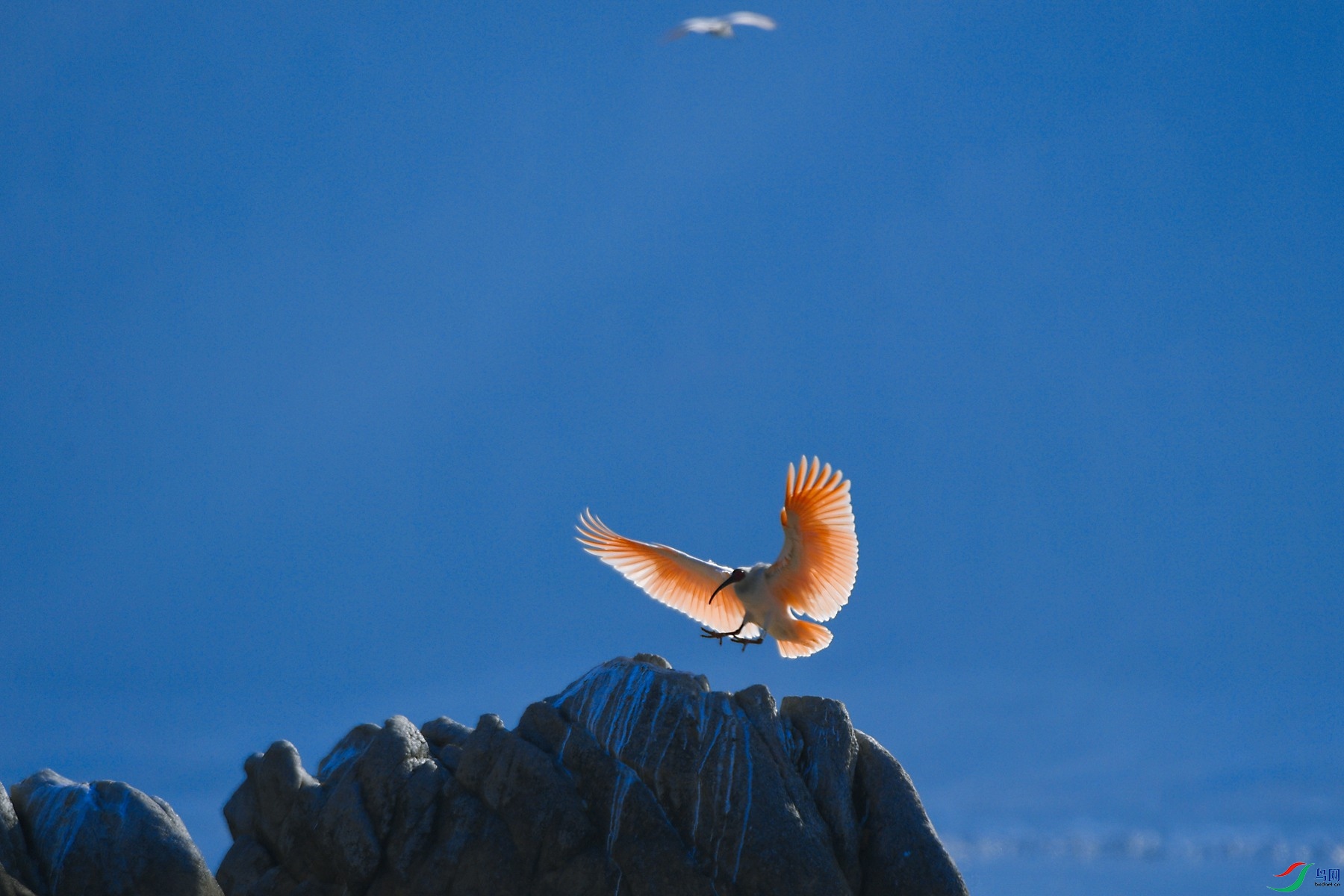 DSC_0340-Exposure (1)_����.jpg