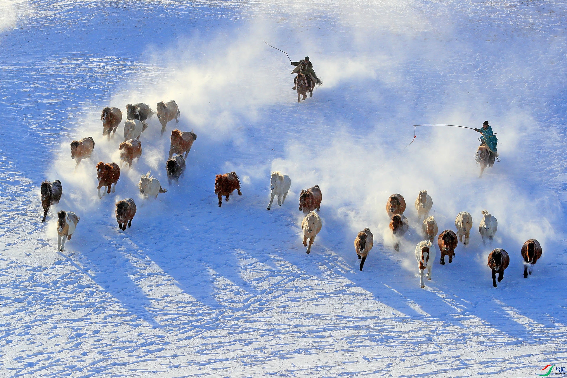 马踏飞雪(祝贺 刘国林 老师荣获首页综合精华)