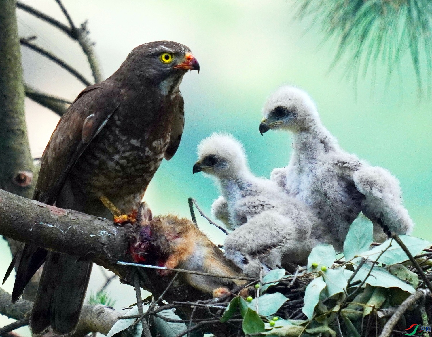 ��ˮ�� ��ʦ�����ں���ʡ�����й�ˮ��0.jpg