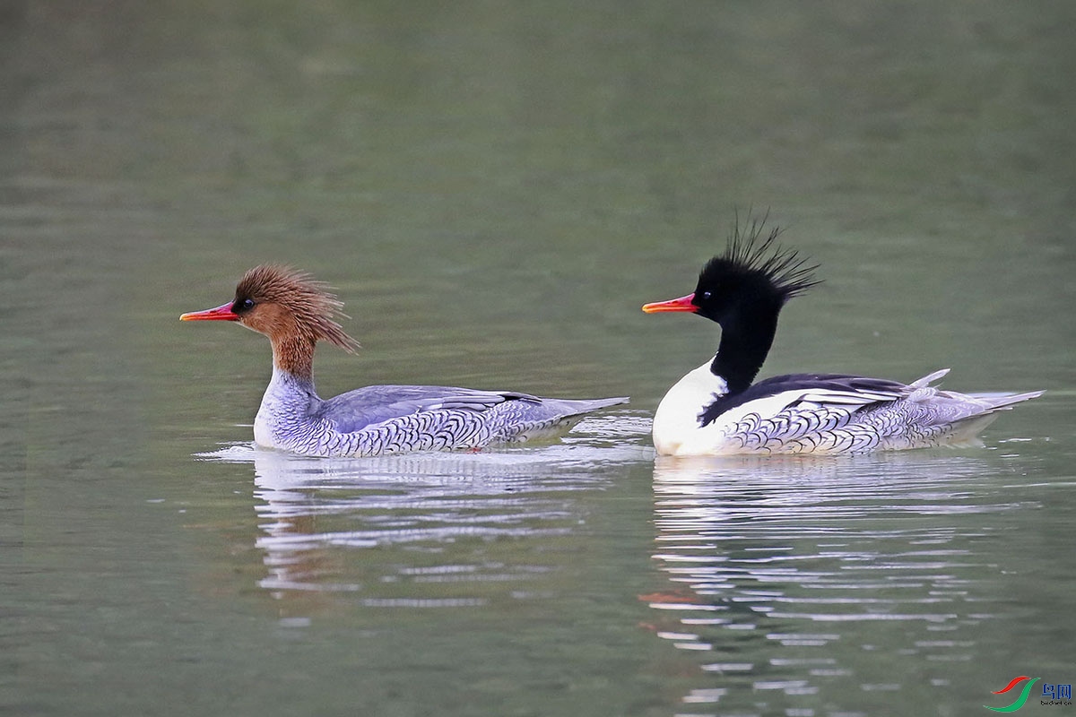 3D1A3575mm - ����.jpg