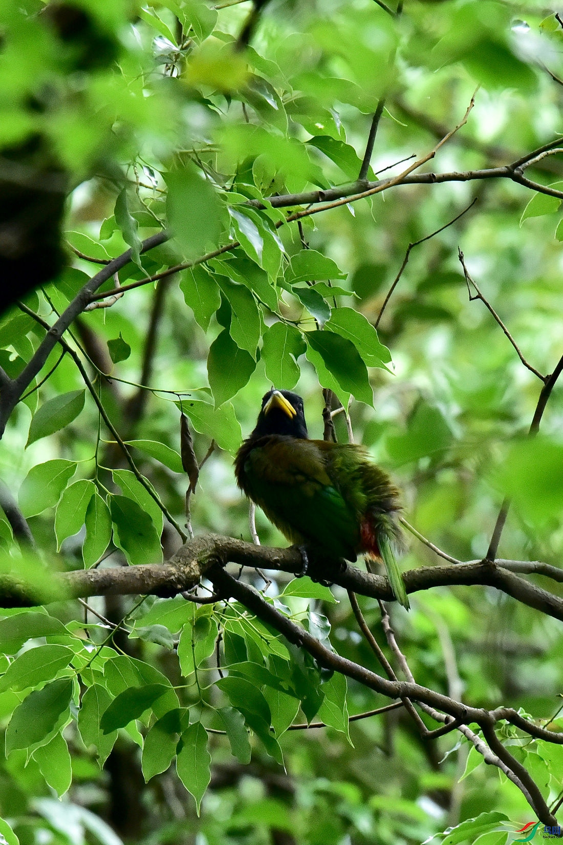 DSC_0647.JPG