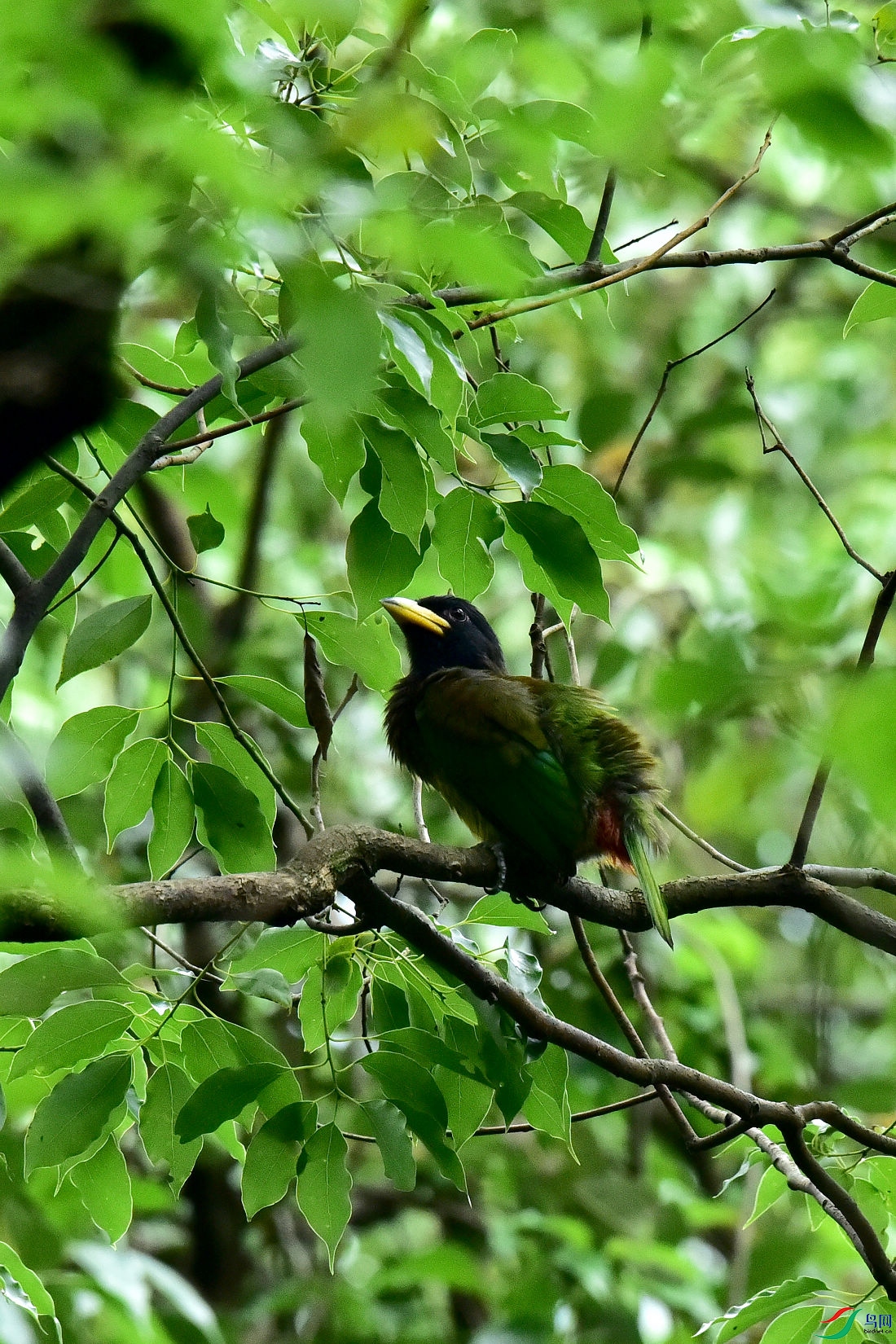 DSC_0648.JPG