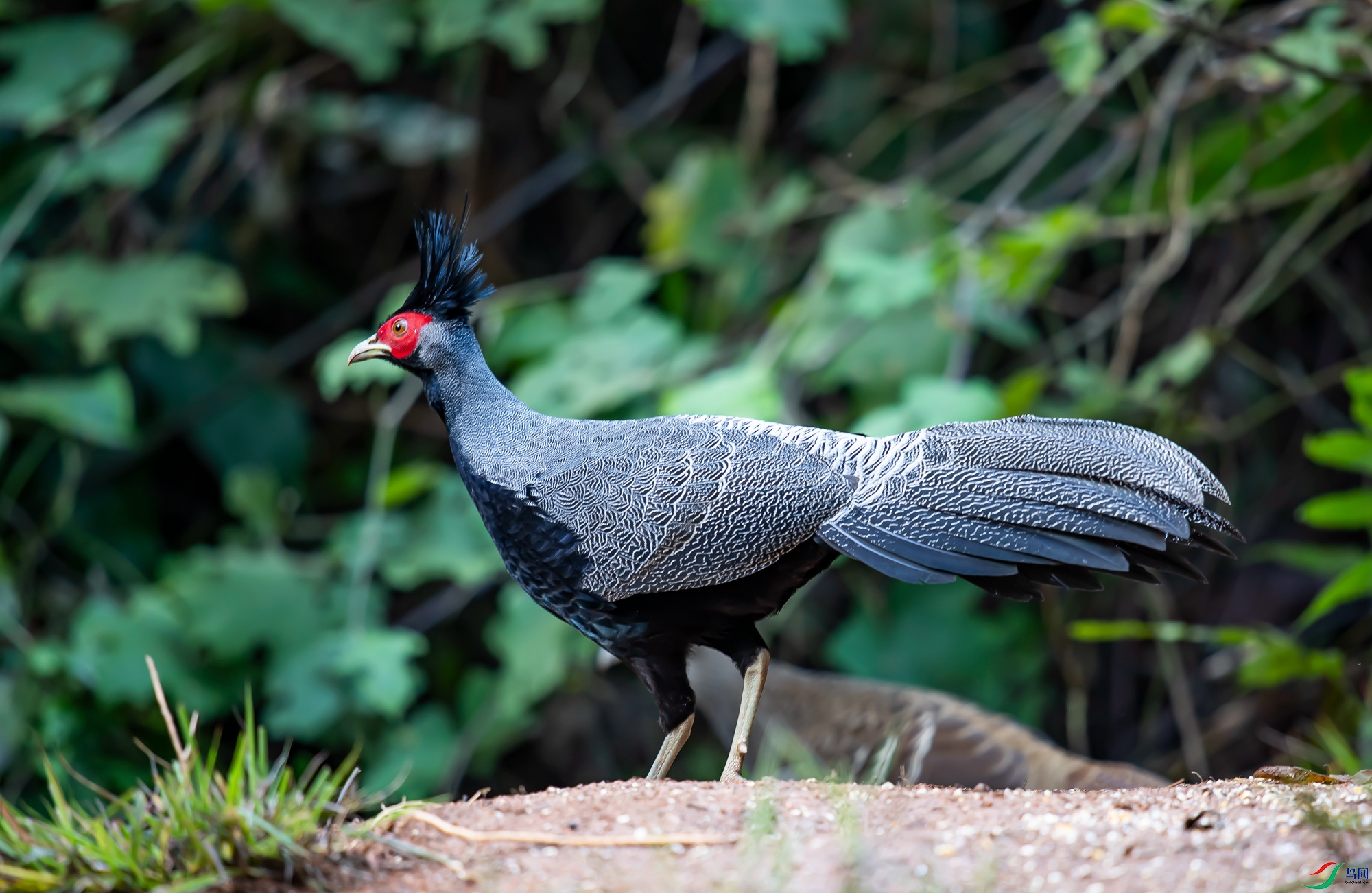 DSC_2693.jpg