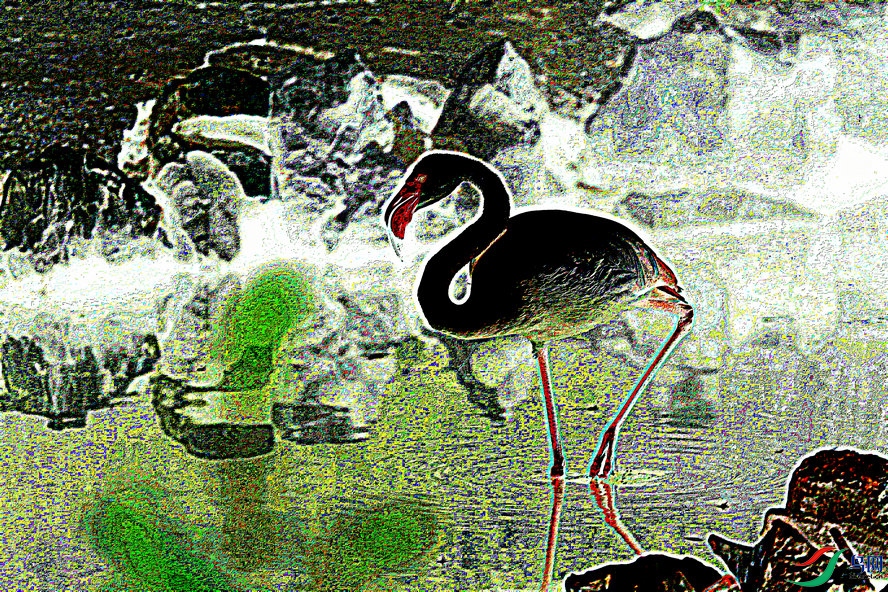 BW6I0750_����_����2_����.jpg
