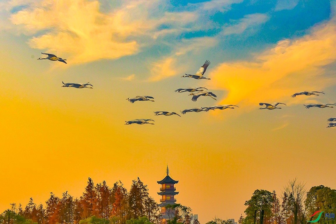 DSC_5335 (3)-�ָ���.jpg