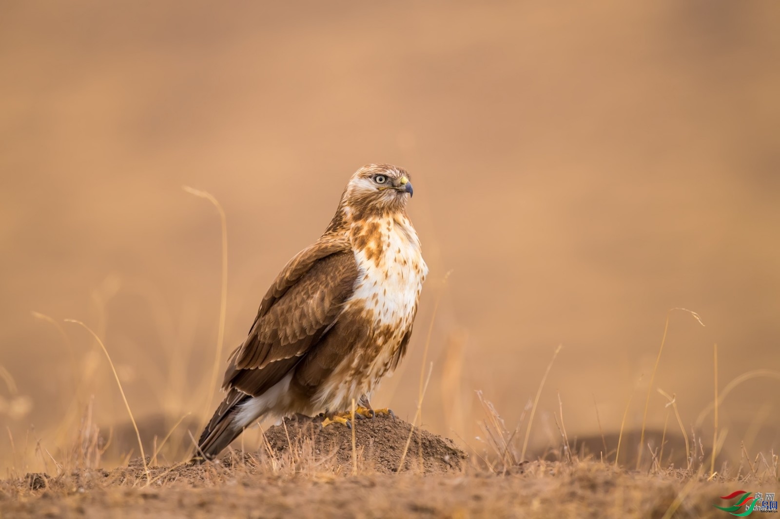 �����޽�303  ��ʦ�������Ĵ�ʡ���Ӳ���Ǽ��������.jpg