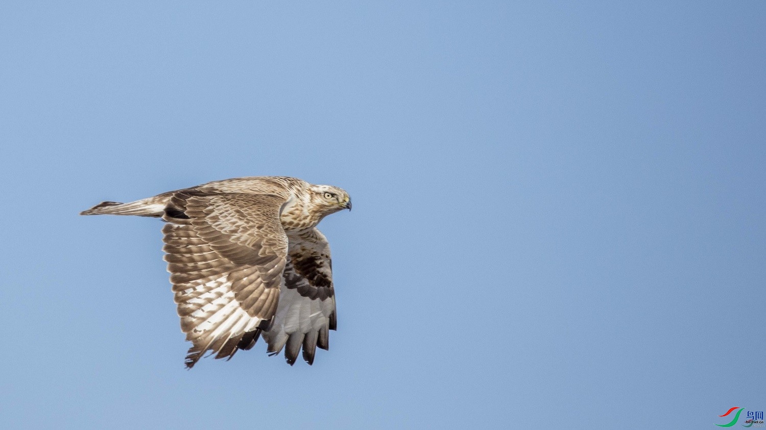 �������  ��ʦ����������ʡ������0.jpg