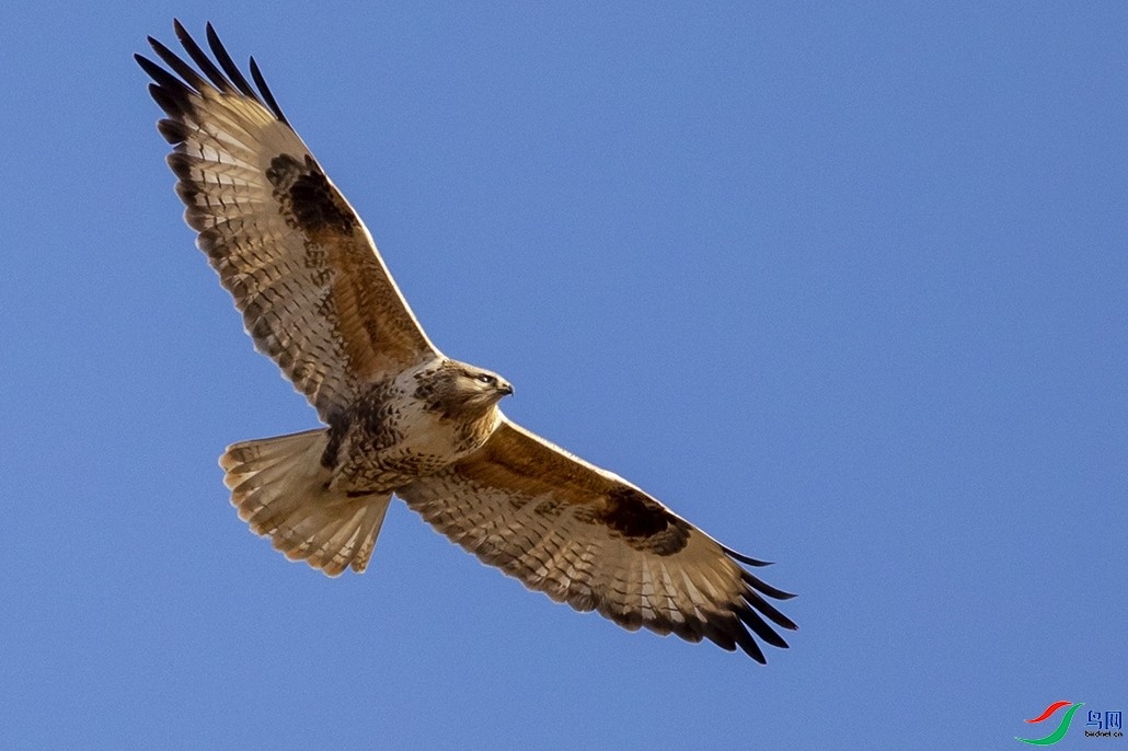 Ұâ ��ʦ����������ʡ�������躣��.jpg