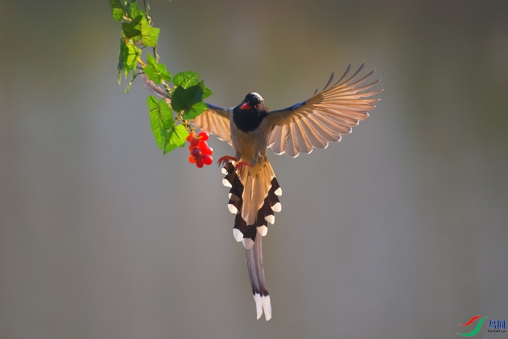 DSC_5044 ����_1.jpg