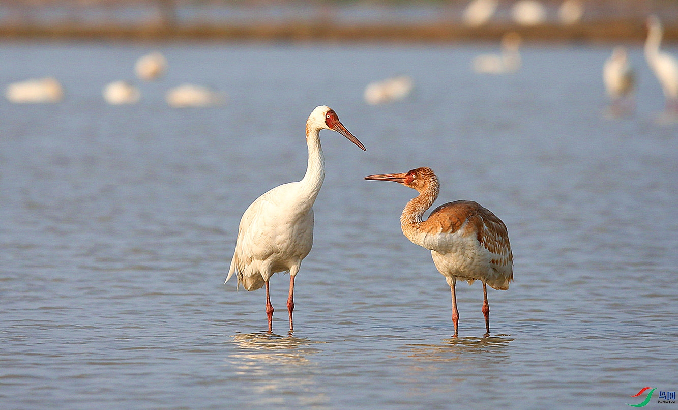 H46R0385_���� (2).jpg