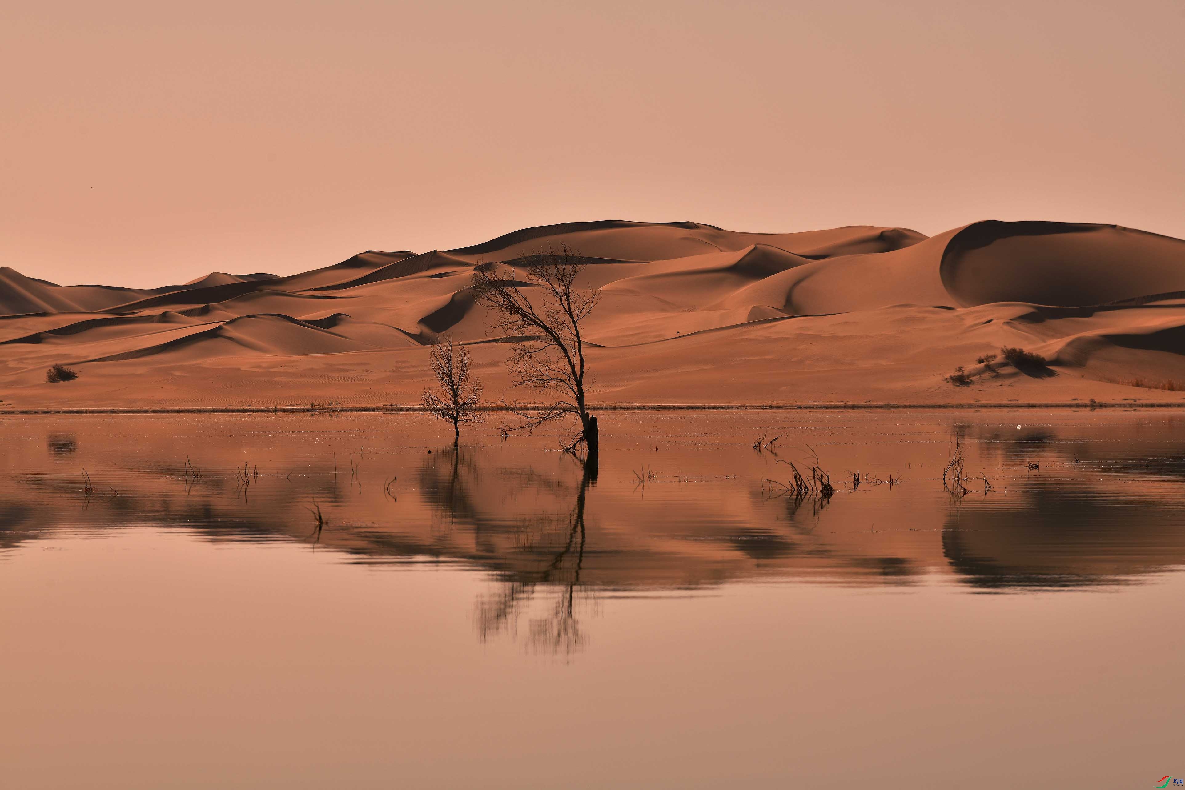 ɳ������