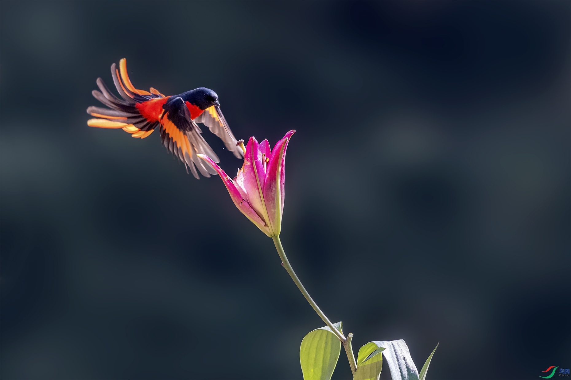 �Һ�ɽ����