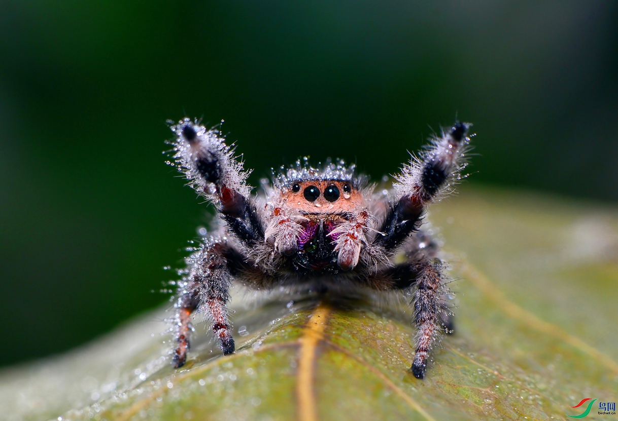 DSC_2821 ��������.jpg