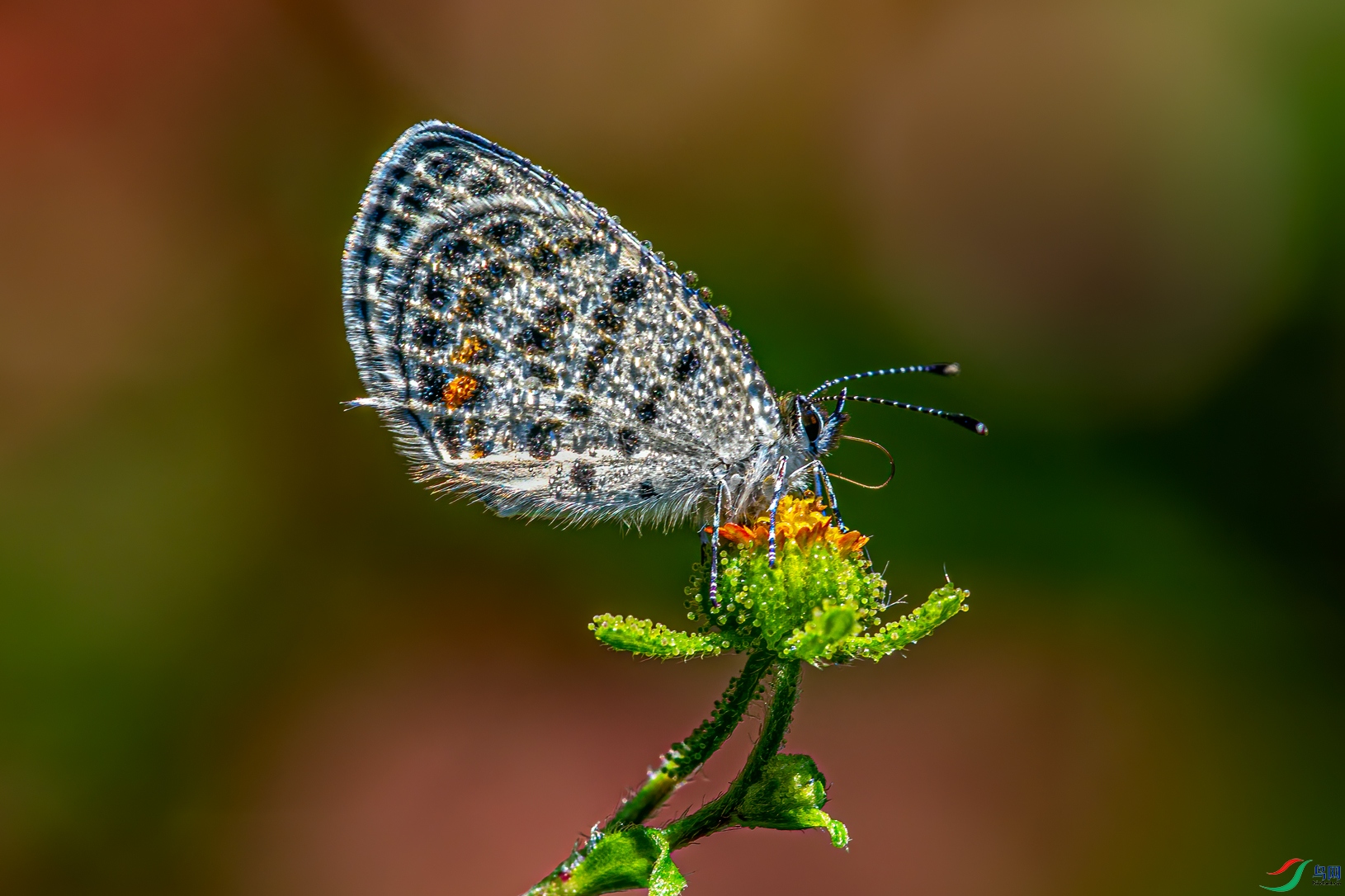 E50A8742.jpg