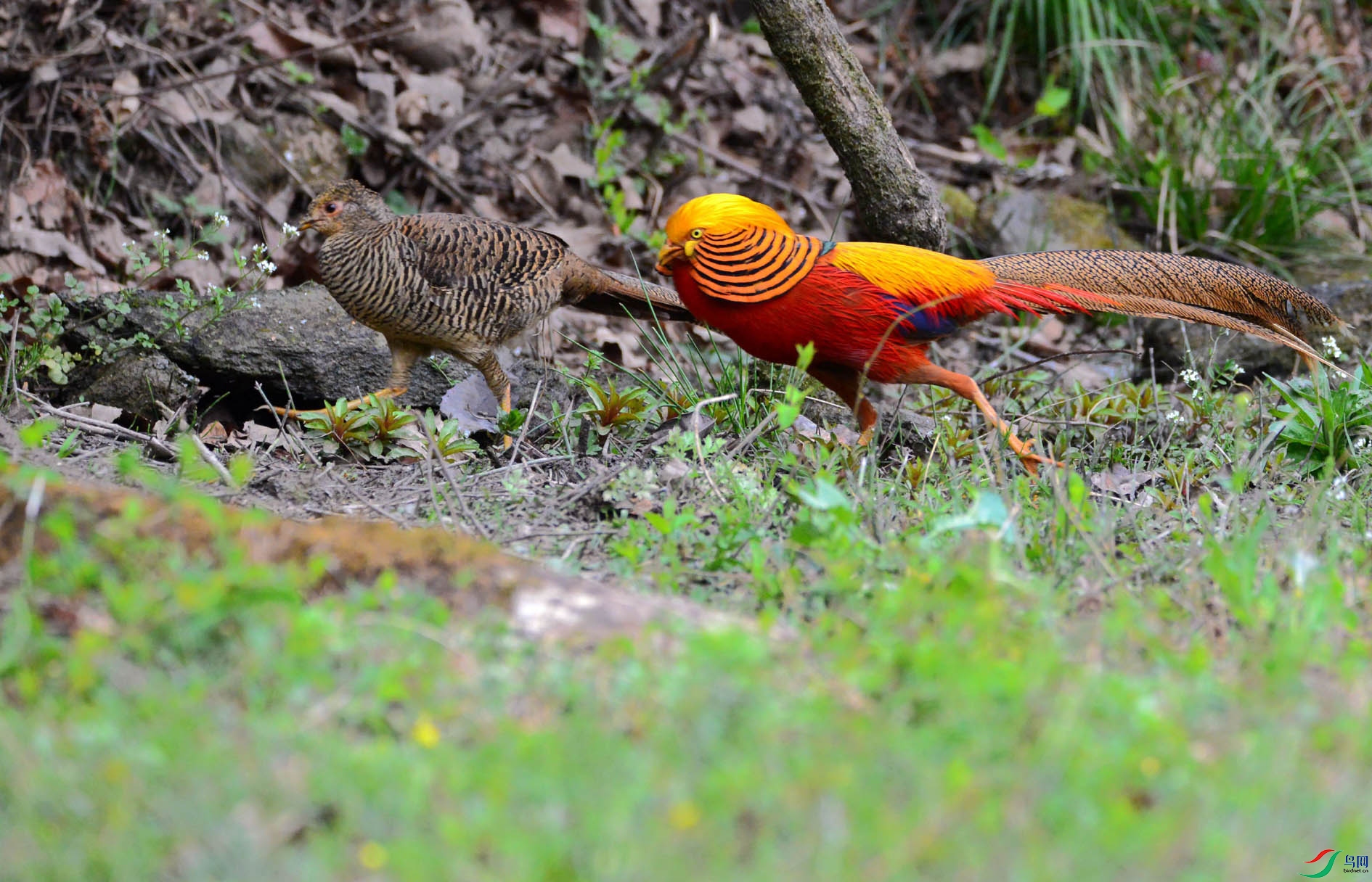 DSC_5167.JPG