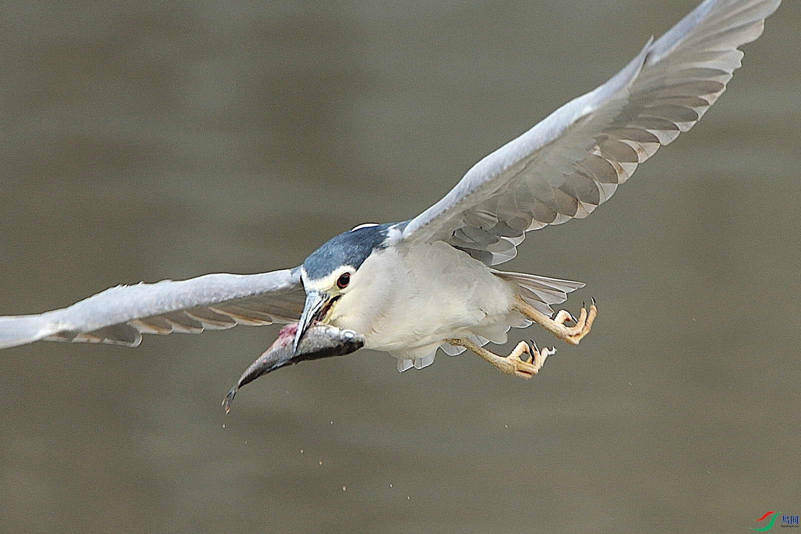 DSC_5816_00007.jpg
