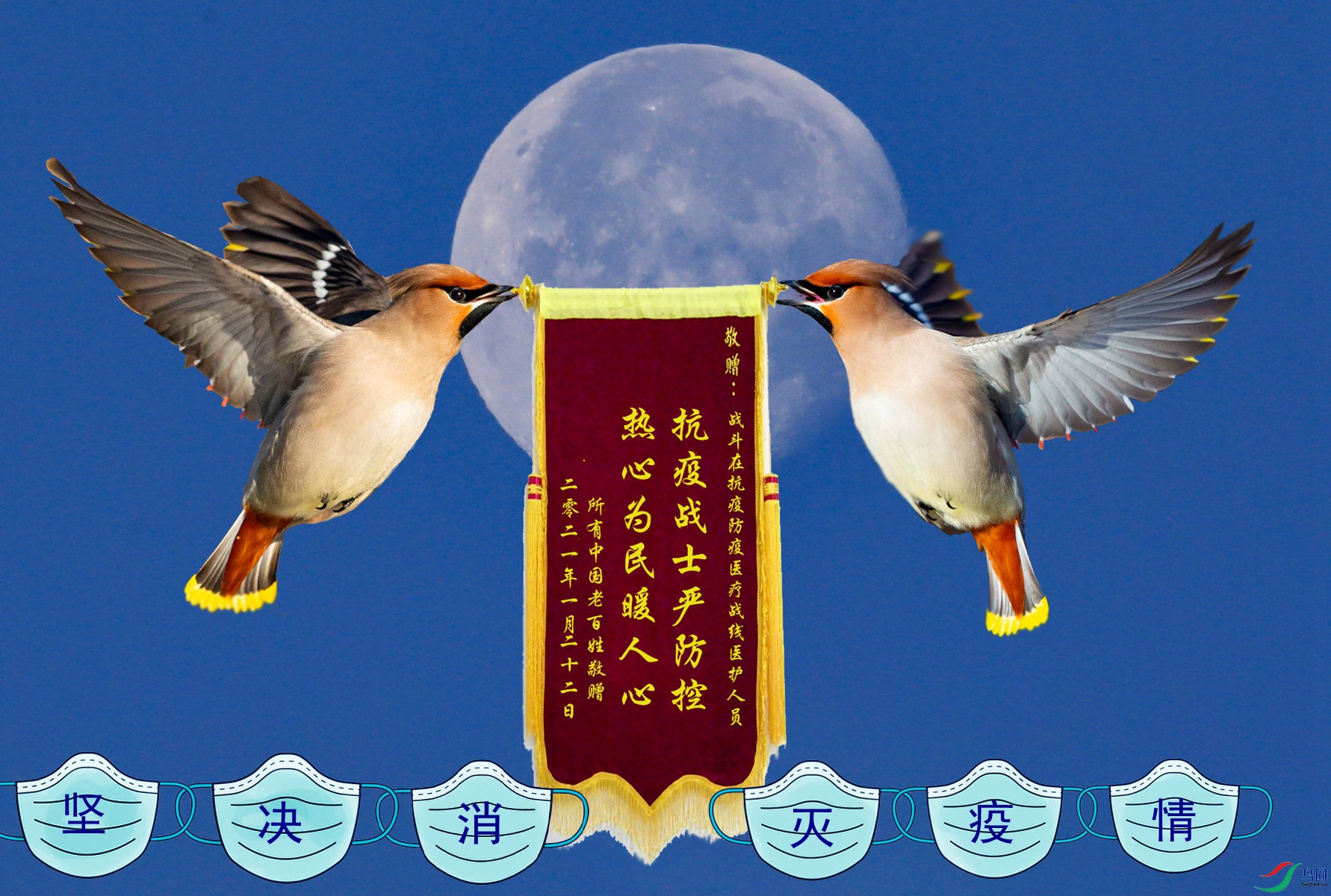 ������ - ����.jpg