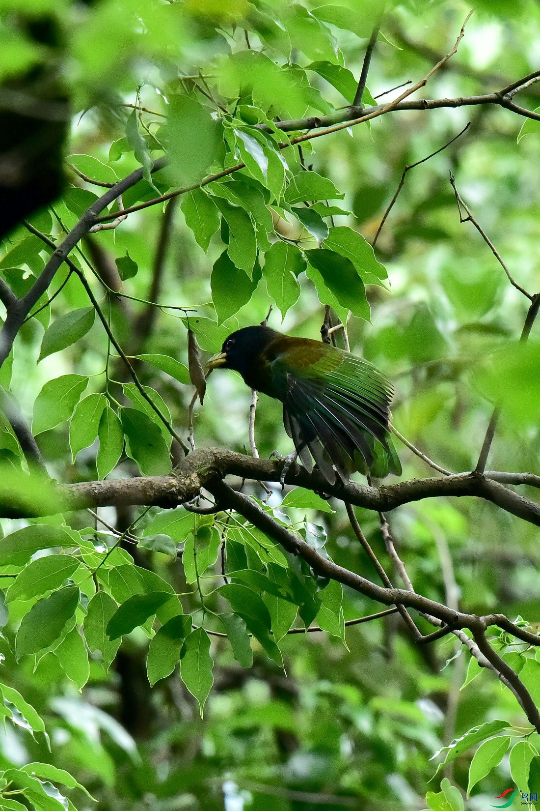 DSC_0657.JPG