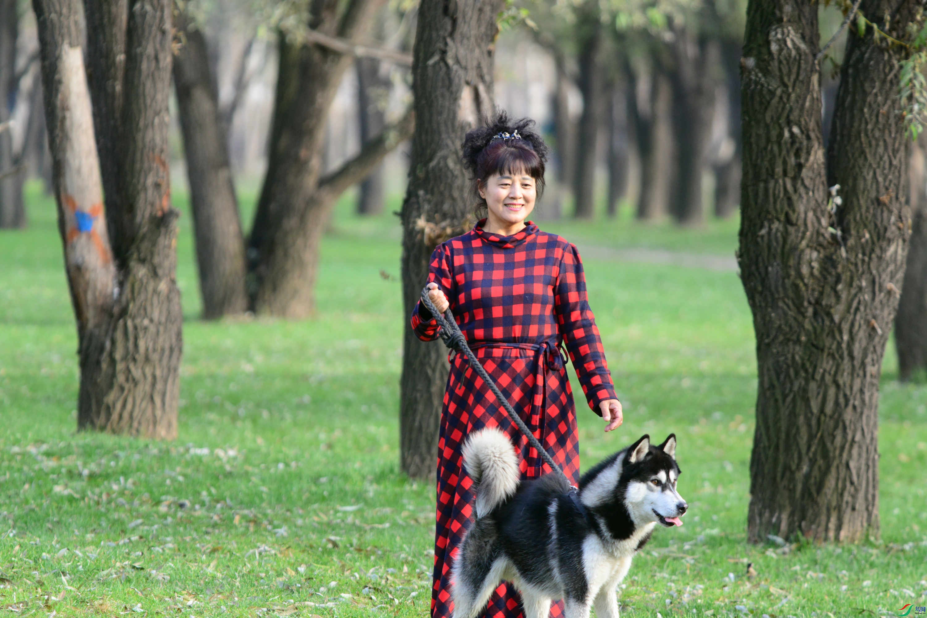 DSC_6031_����.jpg