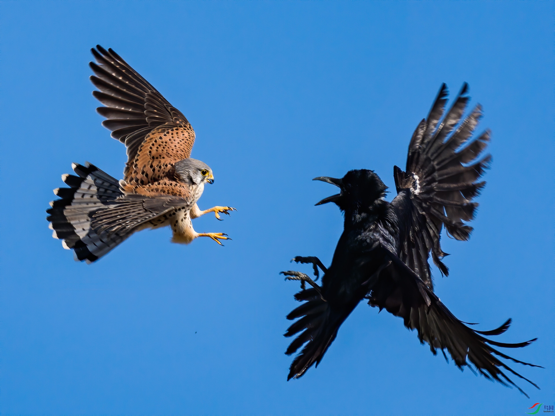 20210121-105944-3.JPG