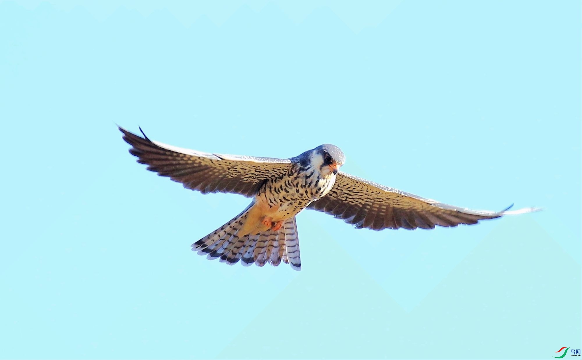 AK2Y7646_2000.jpg