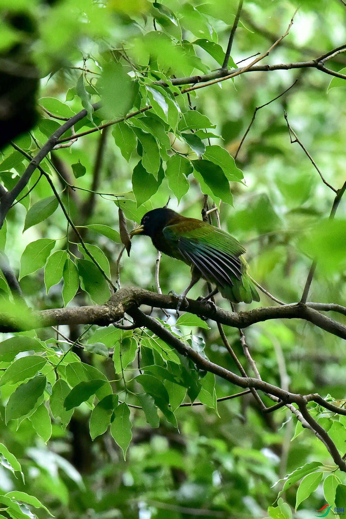 DSC_0659.JPG